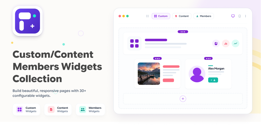 Custom/Content/Members Widget Collection